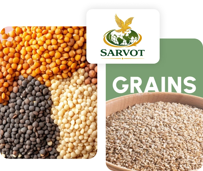 Grains