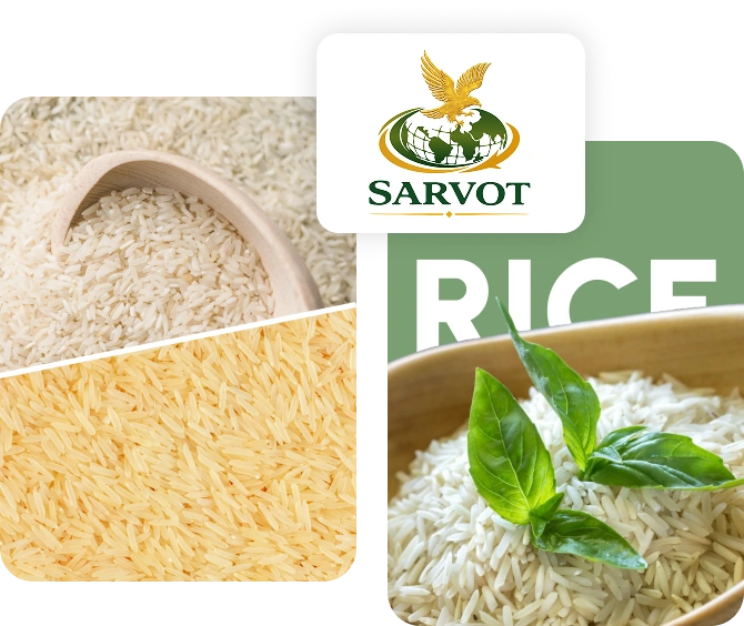 Basmati & Non Basmati Rice